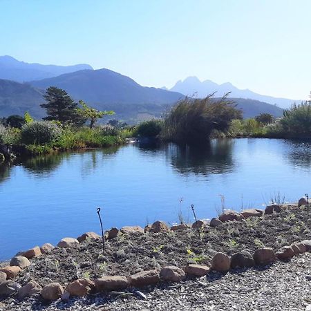 Gecko Cottage At Artemis Franschhoek Extérieur photo